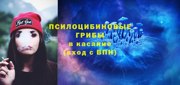 героин Алексин