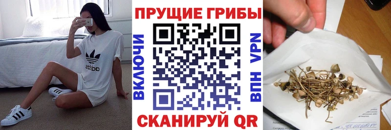 хочу   Бронницы  блэк спрут онион  Галлюциногенные грибы мицелий 